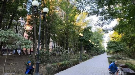 Скандальный парк на Вересаева (Ростов-на-Дону)