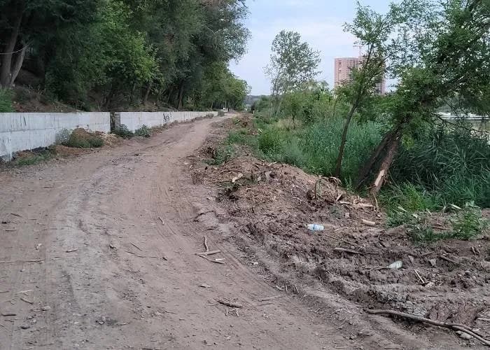 Размытая тропинка в парке «Дружба» (Ростов-на-Дону)