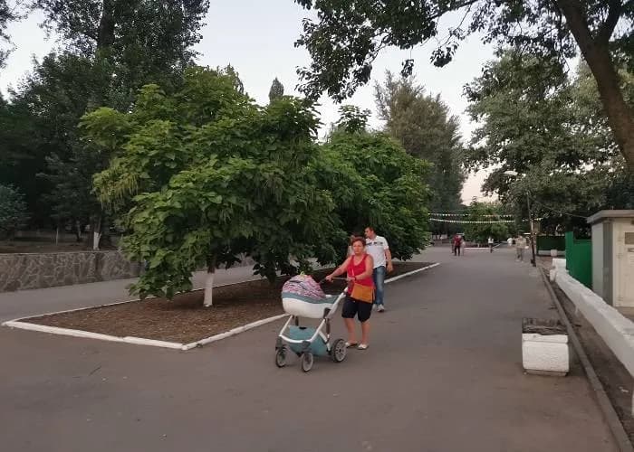 Неровная аллея в парке «Дружба» (Ростов-на-Дону)