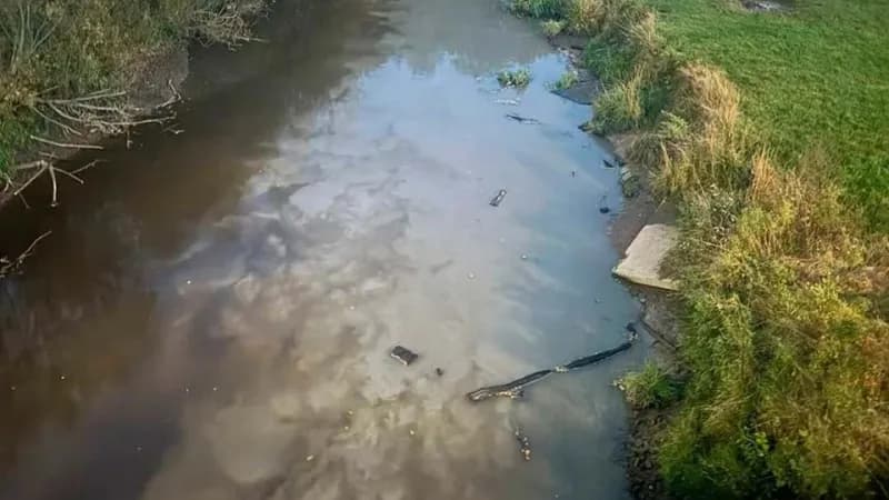 Грязная река в Мурино